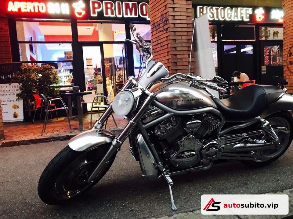 Harley Davidson Custom Acciaio
